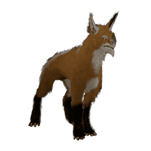 Huras Kubrow