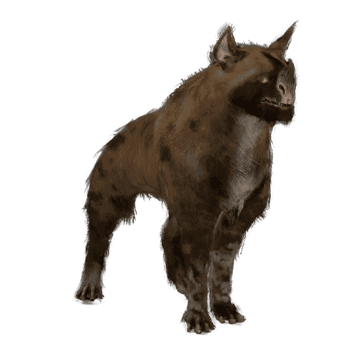 Raksa Kubrow