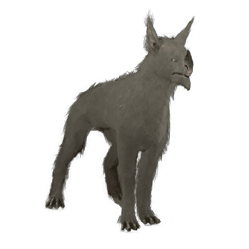 Sunika Kubrow