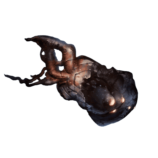 Neurodes