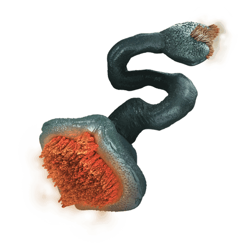 Parasitic Tethermaw