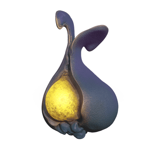 Yao Shrub