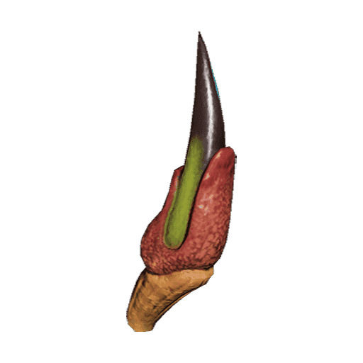 Nistlepod