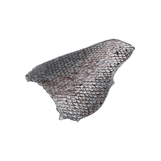 Fish Scales